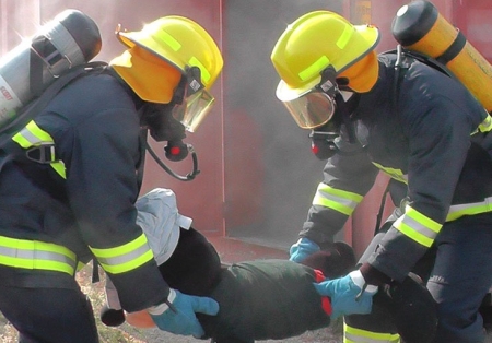 מבקר מטפים שנתי